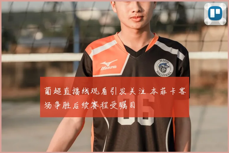 葡超直播线观看引发关注 本菲卡客场争胜后续赛程受瞩目